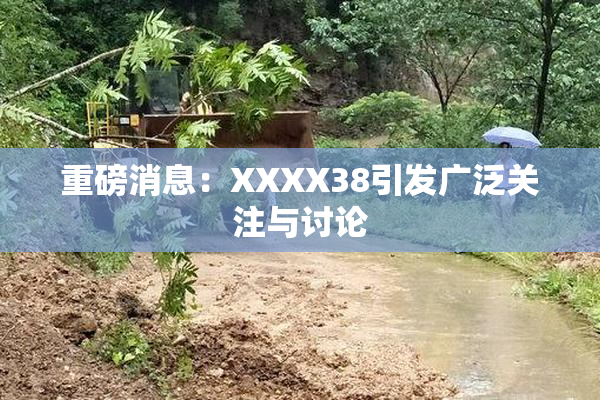重磅消息：XXXX38引发广泛关注与讨论