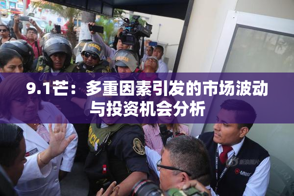 9.1芒：多重因素引发的市场波动与投资机会分析