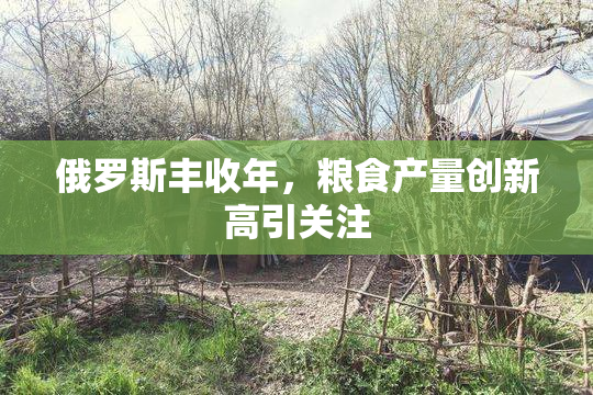俄罗斯丰收年，粮食产量创新高引关注