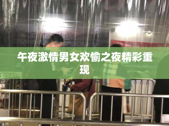 午夜激情男女欢愉之夜精彩重现
