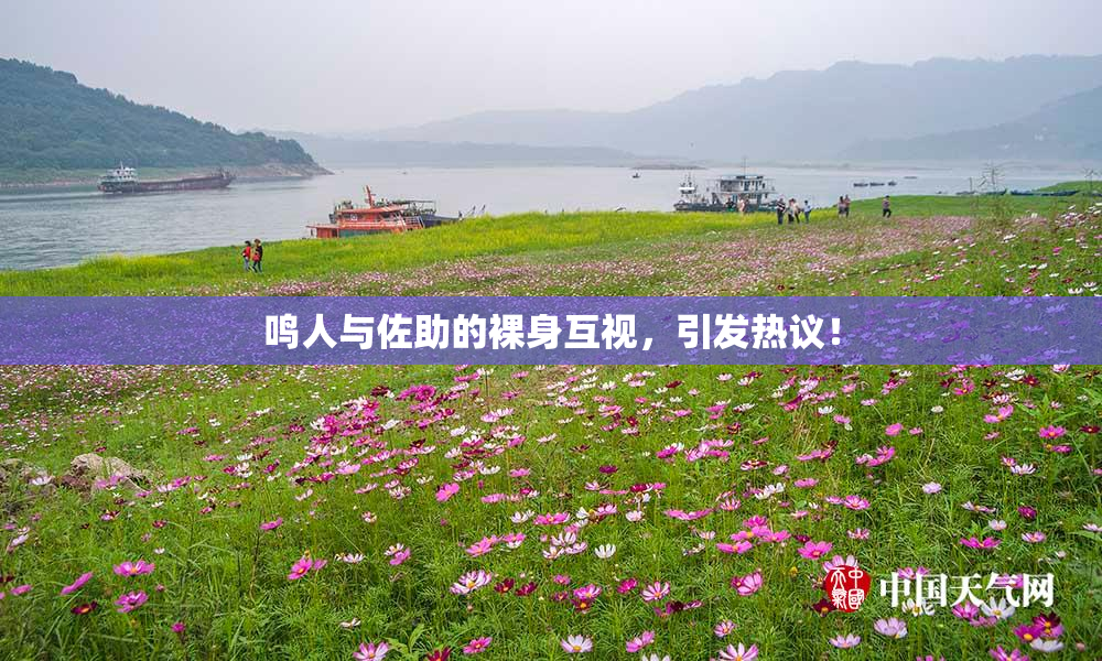 鸣人与佐助的裸身互视，引发热议！