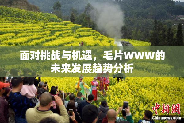 面对挑战与机遇，毛片WWW的未来发展趋势分析