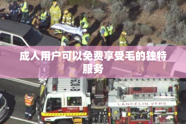 成人用户可以免费享受毛的独特服务