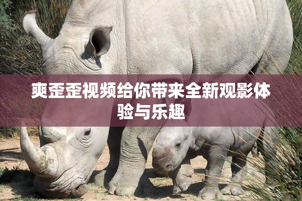爽歪歪视频给你带来全新观影体验与乐趣