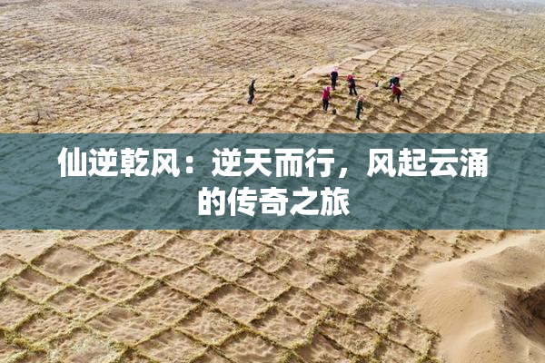 仙逆乾风：逆天而行，风起云涌的传奇之旅