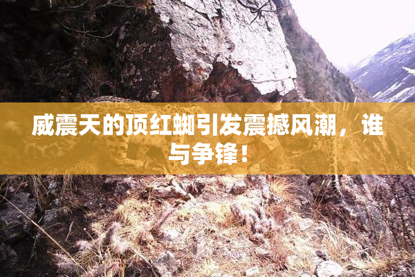 威震天的顶红蜘引发震撼风潮，谁与争锋！