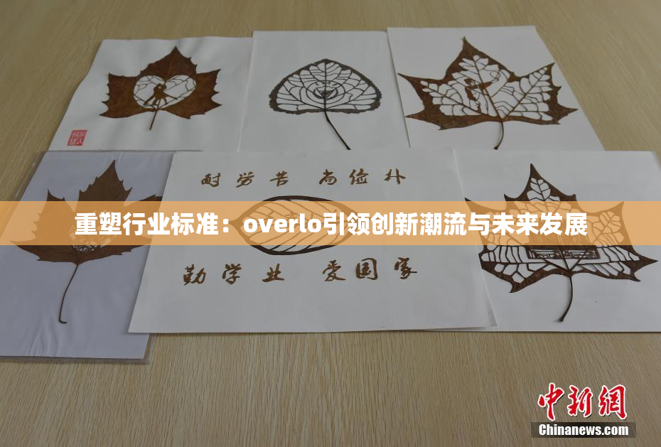 重塑行业标准：overlo引领创新潮流与未来发展