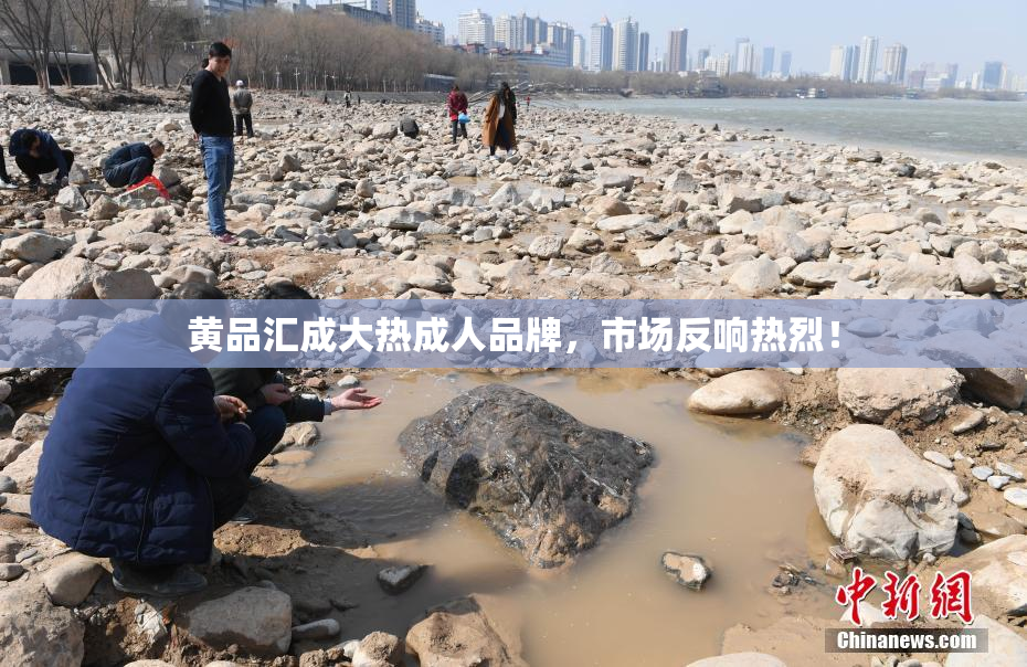 黄品汇成大热成人品牌，市场反响热烈！
