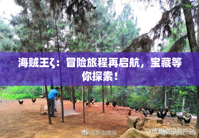 海贼王ζ：冒险旅程再启航，宝藏等你探索！