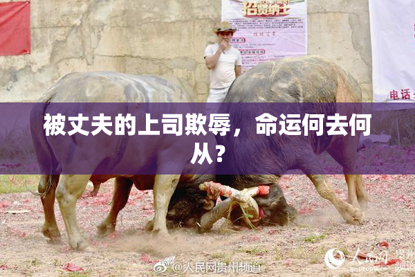 被丈夫的上司欺辱，命运何去何从？