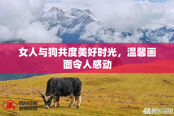 女人与狗共度美好时光，温馨画面令人感动