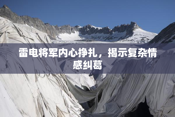 雷电将军内心挣扎，揭示复杂情感纠葛