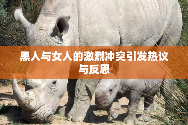 黑人与女人的激烈冲突引发热议与反思