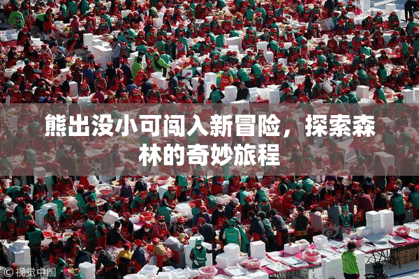 熊出没小可闯入新冒险，探索森林的奇妙旅程