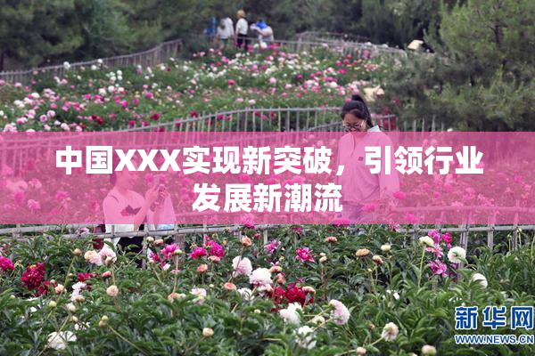 中国XXX实现新突破，引领行业发展新潮流