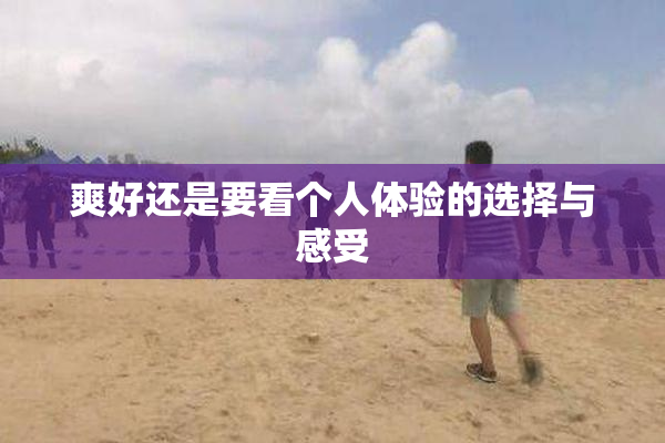 爽好还是要看个人体验的选择与感受