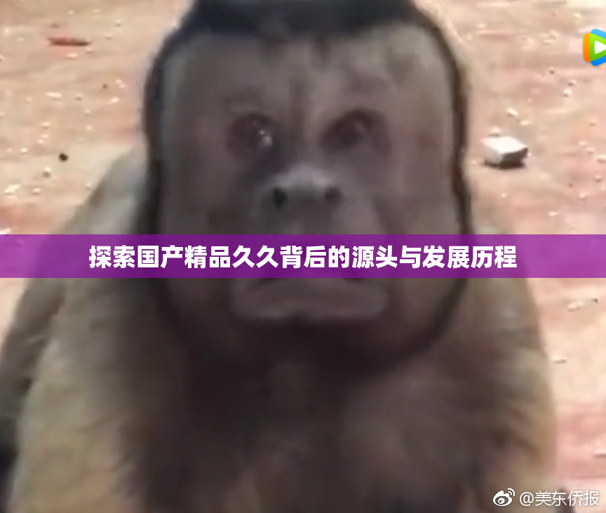 探索国产精品久久背后的源头与发展历程