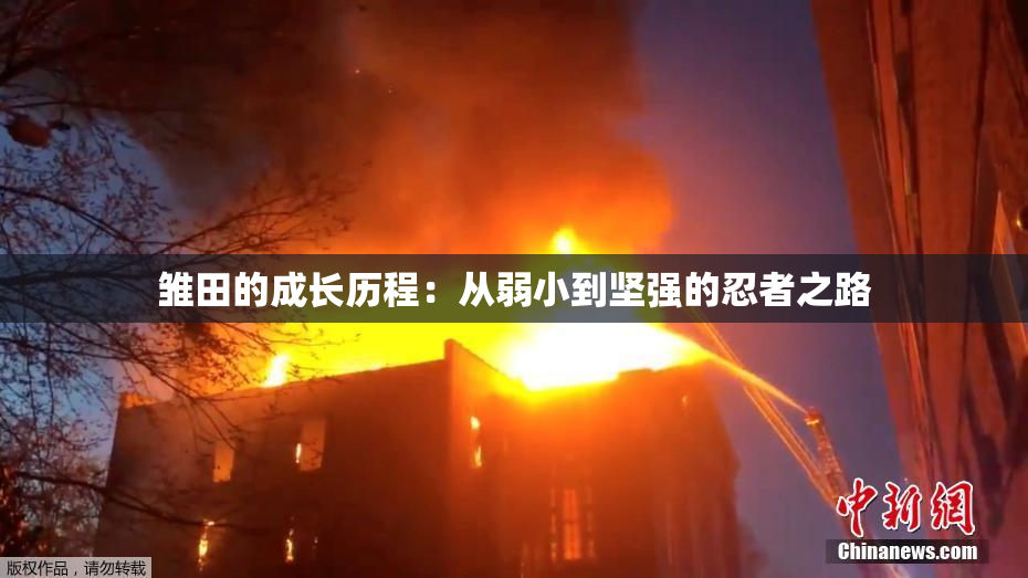 雏田的成长历程：从弱小到坚强的忍者之路