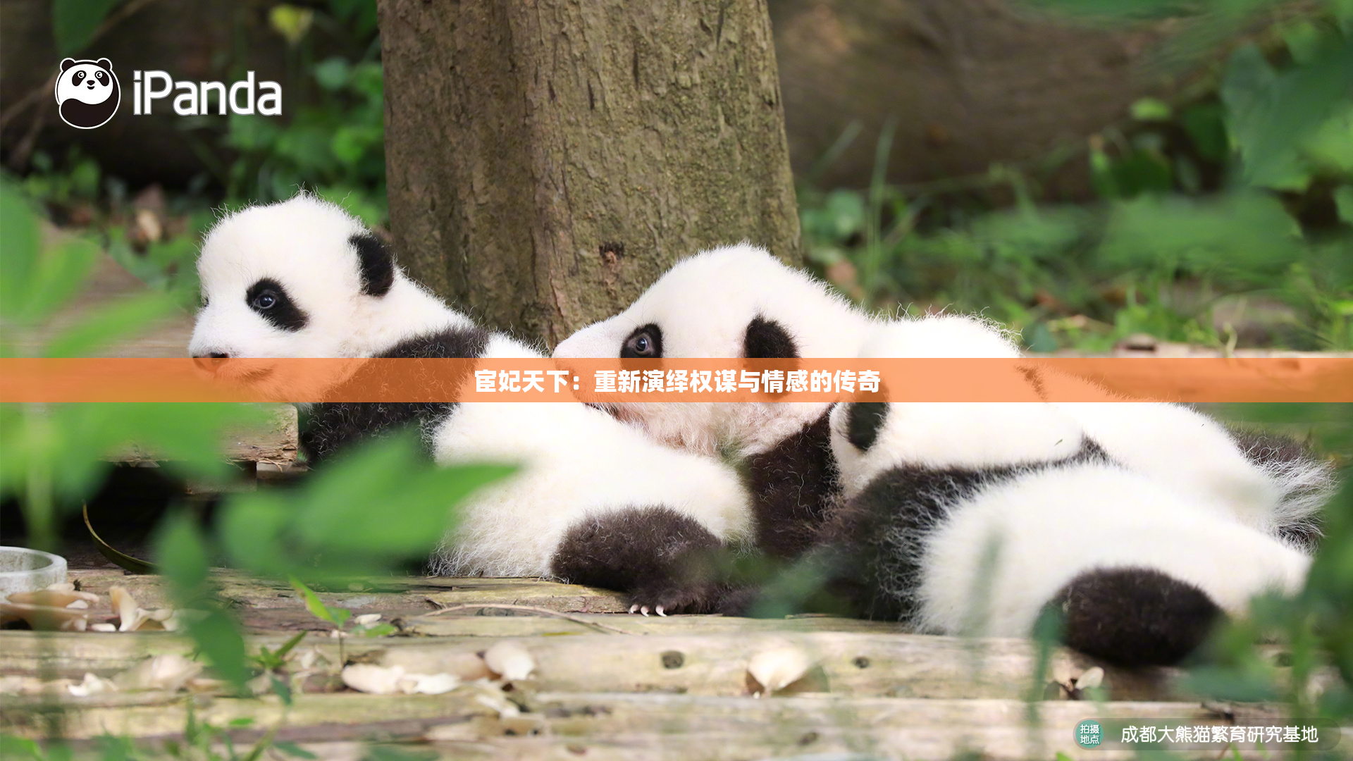 宦妃天下：重新演绎权谋与情感的传奇