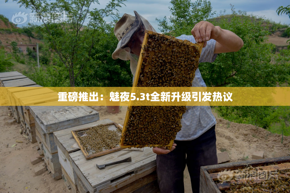 重磅推出：魅夜5.3t全新升级引发热议
