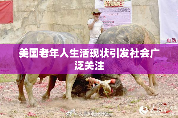 美国老年人生活现状引发社会广泛关注
