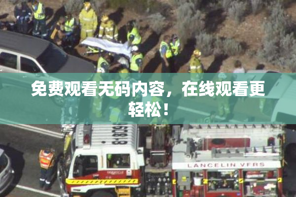 免费观看无码内容，在线观看更轻松！