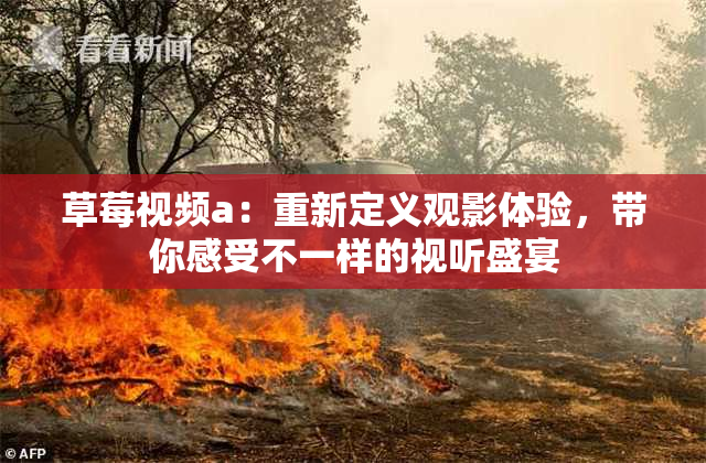 草莓视频a：重新定义观影体验，带你感受不一样的视听盛宴