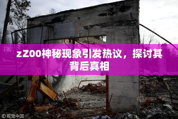 zZ00神秘现象引发热议，探讨其背后真相