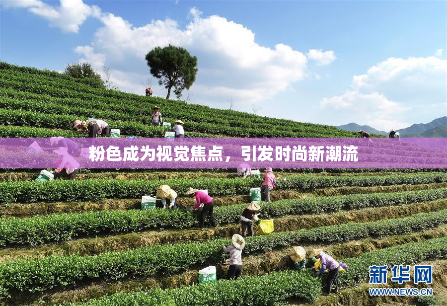 粉色成为视觉焦点，引发时尚新潮流