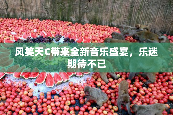 风笑天C带来全新音乐盛宴，乐迷期待不已