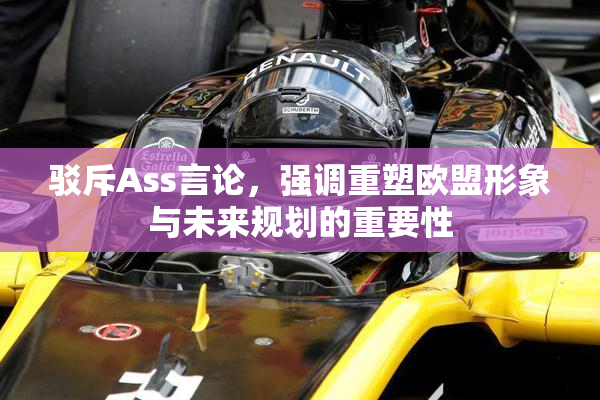 驳斥Ass言论，强调重塑欧盟形象与未来规划的重要性