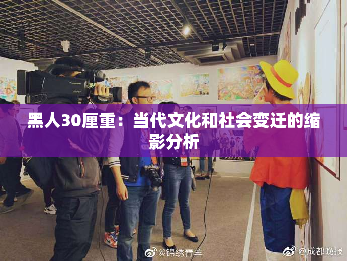 黑人30厘重：当代文化和社会变迁的缩影分析