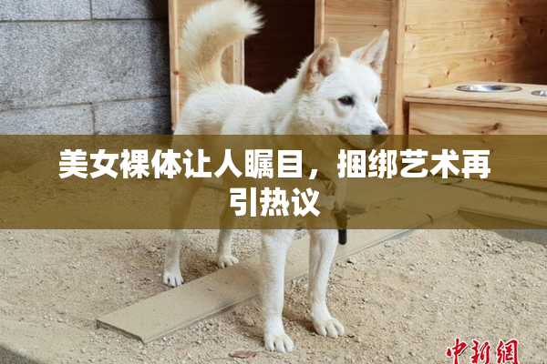 美女裸体让人瞩目，捆绑艺术再引热议