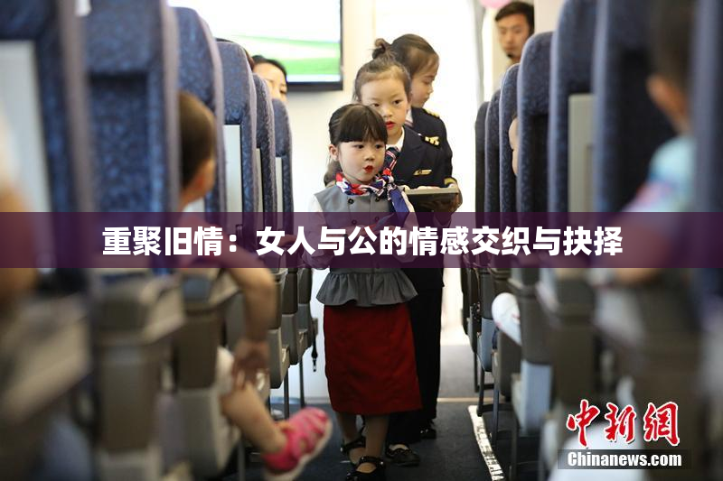 重聚旧情：女人与公的情感交织与抉择