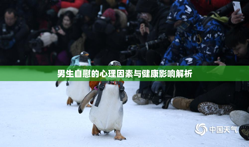 男生自慰的心理因素与健康影响解析