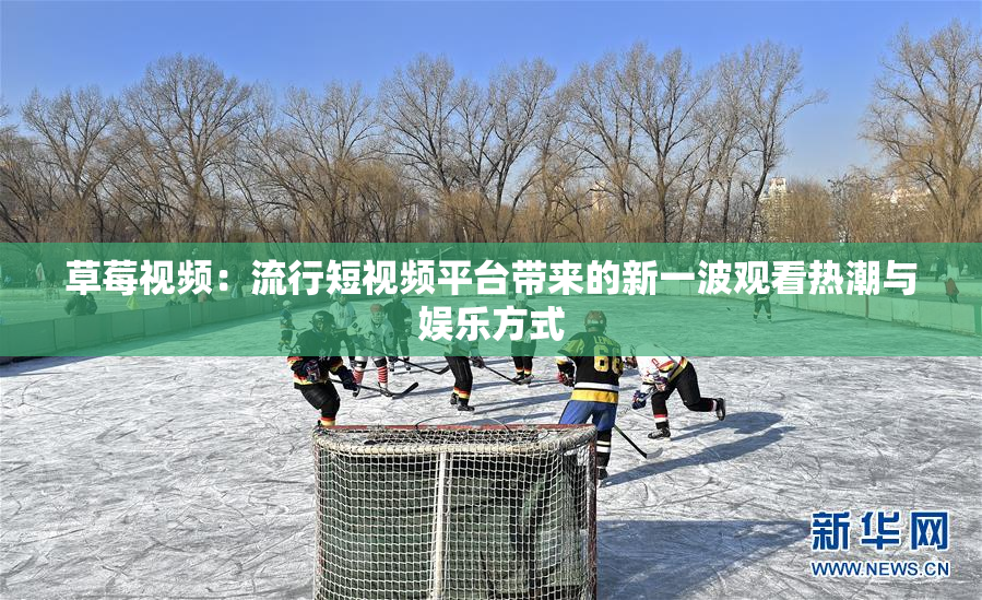 草莓视频：流行短视频平台带来的新一波观看热潮与娱乐方式
