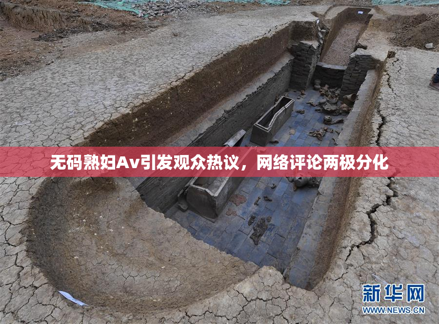 无码熟妇Av引发观众热议，网络评论两极分化