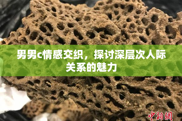男男c情感交织，探讨深层次人际关系的魅力