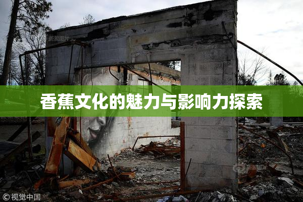 香蕉文化的魅力与影响力探索
