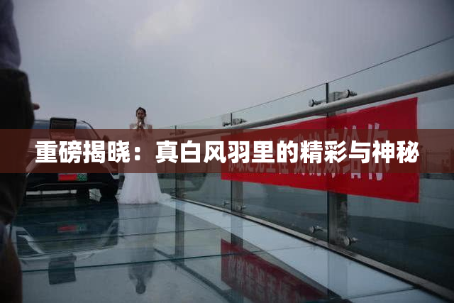 重磅揭晓：真白风羽里的精彩与神秘