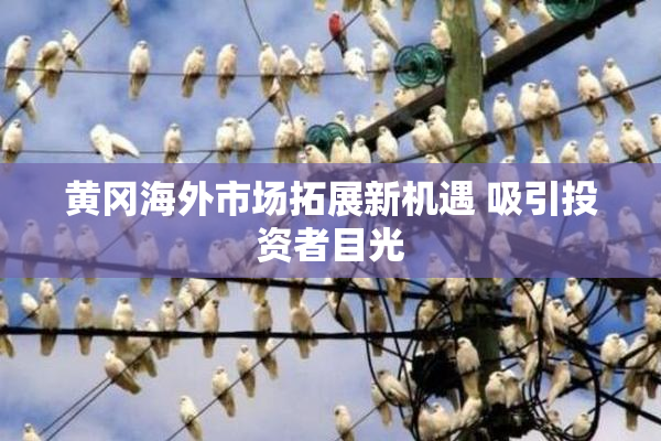 黄冈海外市场拓展新机遇 吸引投资者目光