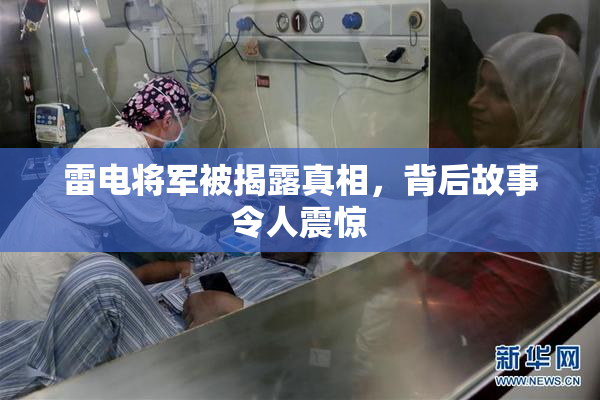 雷电将军被揭露真相，背后故事令人震惊
