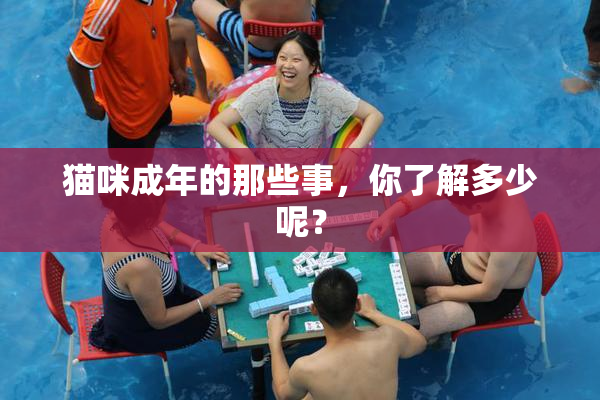 猫咪成年的那些事，你了解多少呢？