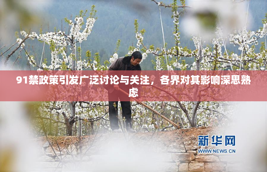 91禁政策引发广泛讨论与关注，各界对其影响深思熟虑