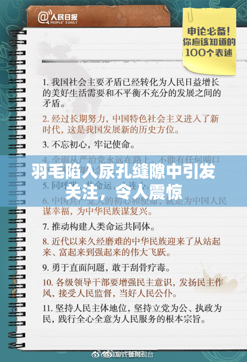 羽毛陷入尿孔缝隙中引发关注，令人震惊