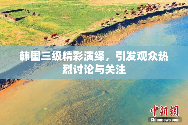 韩国三级精彩演绎，引发观众热烈讨论与关注