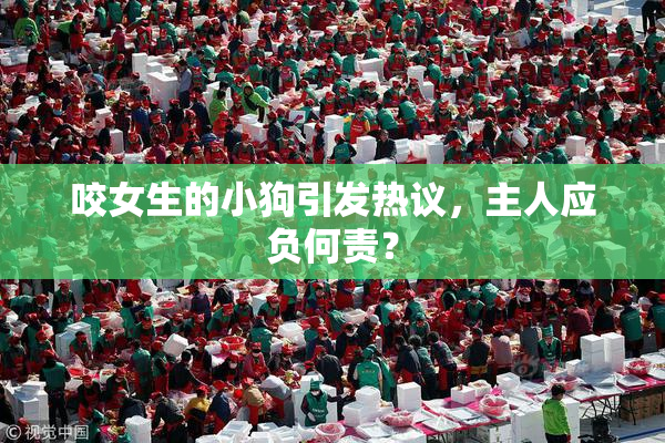 咬女生的小狗引发热议，主人应负何责？
