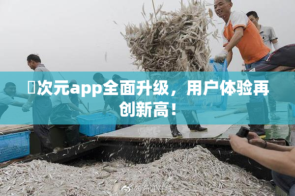 囧次元app全面升级，用户体验再创新高！