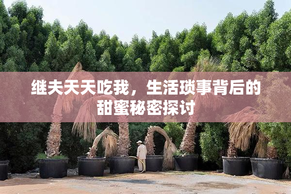 继夫天天吃我，生活琐事背后的甜蜜秘密探讨