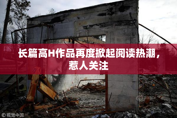 长篇高H作品再度掀起阅读热潮，惹人关注